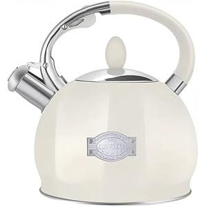 Tea Kettle for Stovetop Whistling Tea Kettles Retro Stainless Steel Teapots 264 Quart Cream