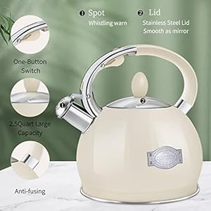 Tea Kettle for Stovetop Whistling Tea Kettles Retro Stainless Steel Teapots 264 Quart Cream