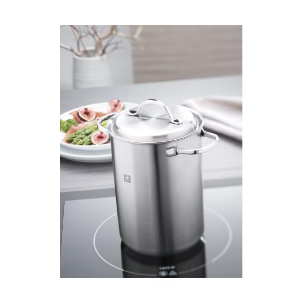 Zwilling jaja henckels twin special pasta pot171239233mm sliver  urban country home decor