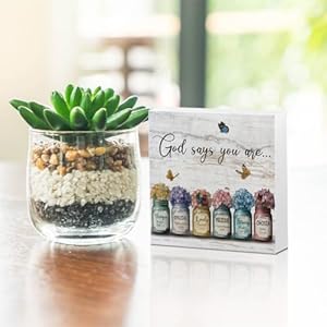 Inspirational Bible Verse Wooden Box Sign Christian Gifts for Women Rustic Farmhouse Home Living Room Office Bedroom Desk Table Shelf Decor Spiritual Gifts Christian Decor Wood Block Plaque