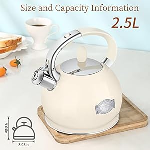 Tea Kettle for Stovetop Whistling Tea Kettles Retro Stainless Steel Teapots 264 Quart Cream