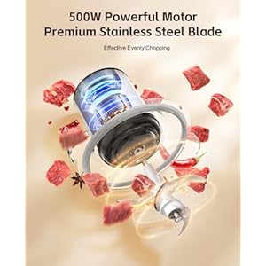 Electric Food Processor Chopper Meat Grinder - 8 Cup Veggie Chopper with 2 Bowls, 2-Speed, Bi-Level Blades, vegetable cutter For Vegetable, Nuts, Onion, Garlic, Baby Food & Family Use Electric Food Processor Chopper Meat Grinder 8 Cup Veggie Chopper with 2 Bowls 2 Speed Bi Level Blades vegetable cutter For Vegetable Nuts Onion Garlic Baby Food Family Use