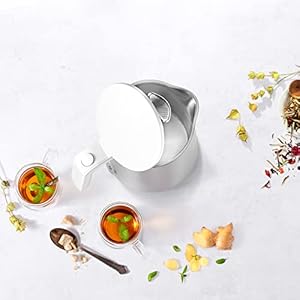 Zwilling enfinigy cool touch 1 liter electric kettle cordless tea kettle hot water silver  urban country home decor