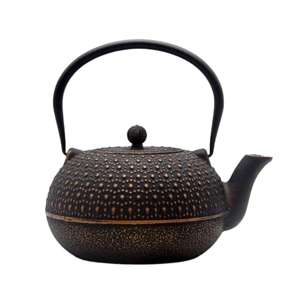   609oz-Large-Cast-Iron-Teapot-for-Stovetop-Safe-6-Cup-Tea-Kettle-Japanese-Style-Cast-Iron-Teapot-with-Stainless-Steel-Infuser-for-Loose-Tea-Suitable-for-All-Heat-Sources17QT18L