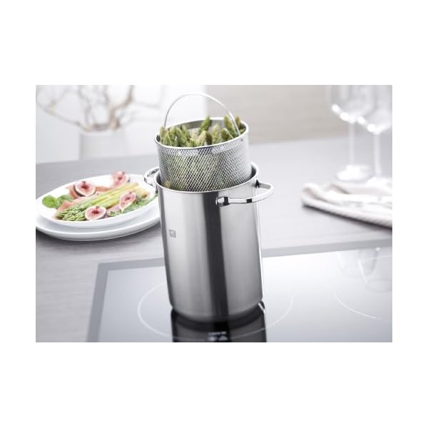 Zwilling jaja henckels twin special pasta pot171239233mm sliver  urban country home decor