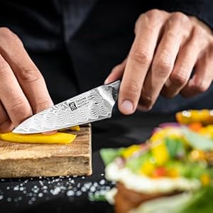 Zwilling tanrei 4 inch paring knife  urban country home decor