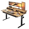 ErGear Electric Standing Desk with 4 Drawers 55 x 30 Height Adjustable Desk with Storage C Clamp Mount Compatible Computer Home Office Table with Cable Management Tray Vintage Brown