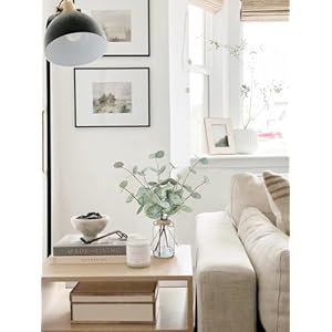 Artificialeucalyptusstemsinglassvasewithfauxwater135fakeplantsforhomedecorcoffeetablecenterpiecesofficebathroomfarmhouseweddingsfauxgreeneryplantsdecorations Urban Country Home Decor Artificial eucalyptus stems in glass vase with faux water 135 fake plants for home decor coffee table centerpieces office bathroom farmhouse weddings faux greenery plants decorations urban country home decor