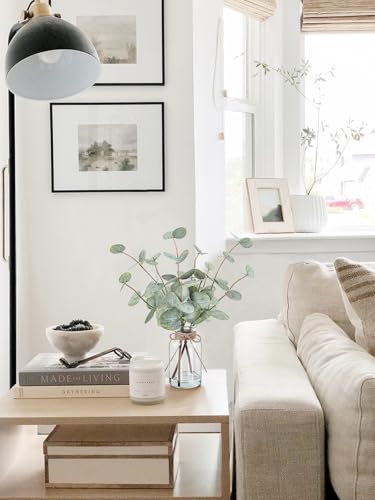 Artificialeucalyptusstemsinglassvasewithfauxwater135fakeplantsforhomedecorcoffeetablecenterpiecesofficebathroomfarmhouseweddingsfauxgreeneryplantsdecorations Urban Country Home Decor Artificial eucalyptus stems in glass vase with faux water 135 fake plants for home decor coffee table centerpieces office bathroom farmhouse weddings faux greenery plants decorations urban country home decor