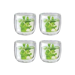   ZWILLING-Sorrento-Glass-Teacup-4-White
