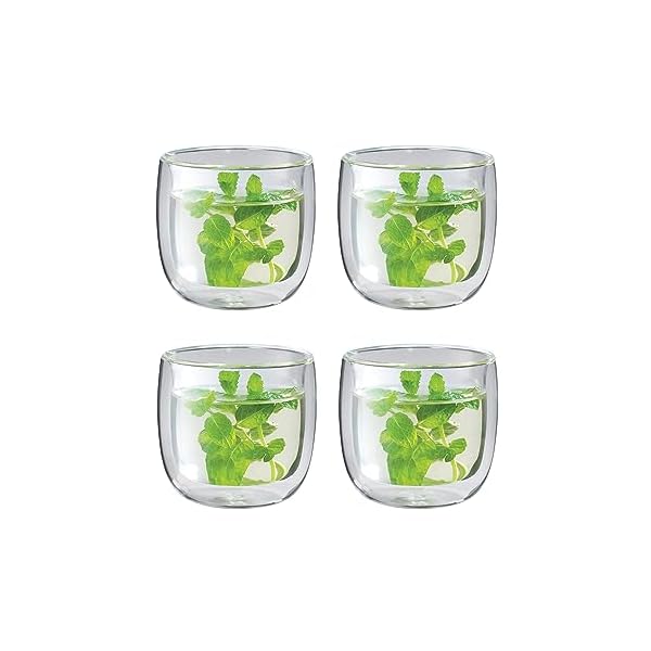   ZWILLING-Sorrento-Glass-Teacup-4-White
