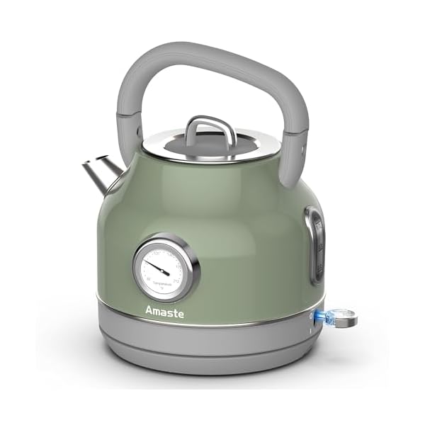 Amaste electric kettle retro electric tea kettle with thermometer 57 oz hot water kettle for coffee tea 304 stainless steel 1500w fast boiling auto shut off boil dry protection matcha green  urban country home decor