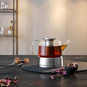 Zwilling sorrento glass tea kettle 27oz glazz  urban country home decor