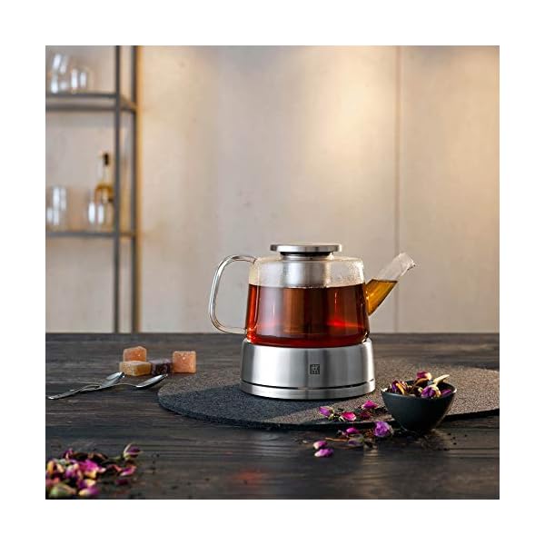 Zwilling sorrento glass tea kettle 27oz glazz  urban country home decor