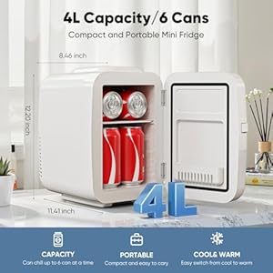  DUMOS-4L-Mini-Fridge-6-Can-Thermoelectric-Cooler-Warmer-Compact-110V-AC12V-DC-Refrigerator-for-Skincare-Drinks-and-Food--Retro-Style-for-Car-Office-Dorm-Bedroom-White