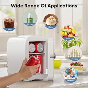   DUMOS-4L-Mini-Fridge-6-Can-Thermoelectric-Cooler-Warmer-Compact-110V-AC12V-DC-Refrigerator-for-Skincare-Drinks-and-Food--Retro-Style-for-Car-Office-Dorm-Bedroom-White