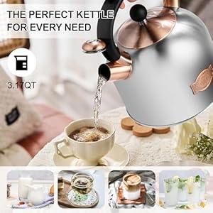 Susteasteakettle317qtwhistlingkettlewithergonomichandlepremiumstainlesssteelteapotsforstovetopchicvintageteapotwithcompositebaseworkforallstovetopssilver Urban Country Home Decor Susteas tea kettle 317qt whistling kettle with ergonomic handle premium stainless steel tea pots for stove top chic vintage teapot with composite base work for all stovetops silver urban country home decor