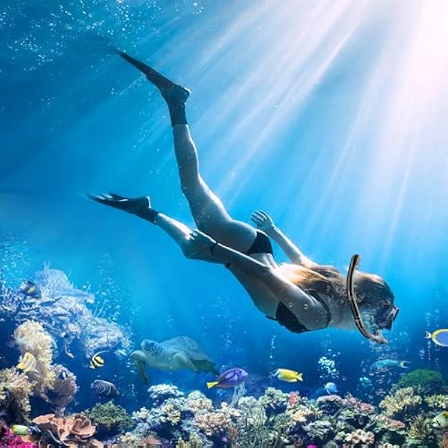 Snorkeling Gear for Adults, Dry-Top Snorkel Set Scuba Diving mask, 180¡ãPanoramic Wide View Professional Snorkeling Gear Breathing Freely Snorkel Mask