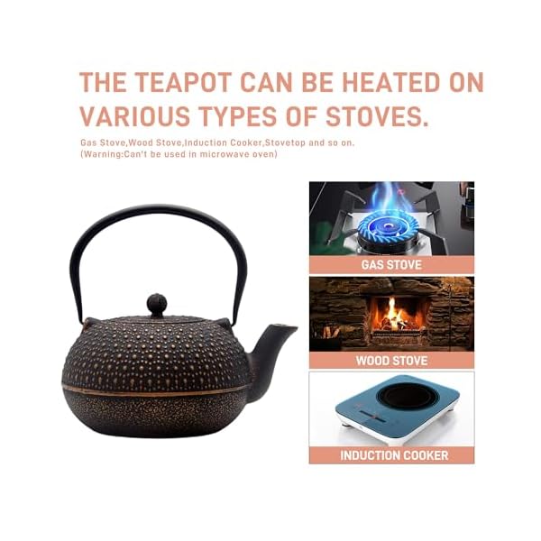   609oz-Large-Cast-Iron-Teapot-for-Stovetop-Safe-6-Cup-Tea-Kettle-Japanese-Style-Cast-Iron-Teapot-with-Stainless-Steel-Infuser-for-Loose-Tea-Suitable-for-All-Heat-Sources17QT18L