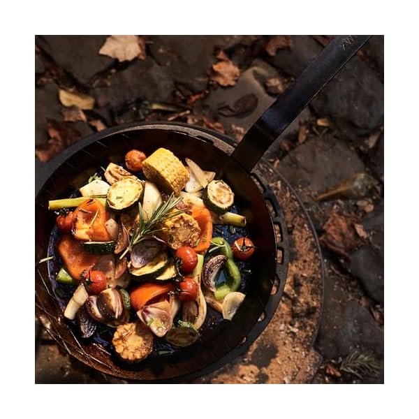 Zwilling forged 11 inch carbon steel fry pan 1 silver  urban country home decor