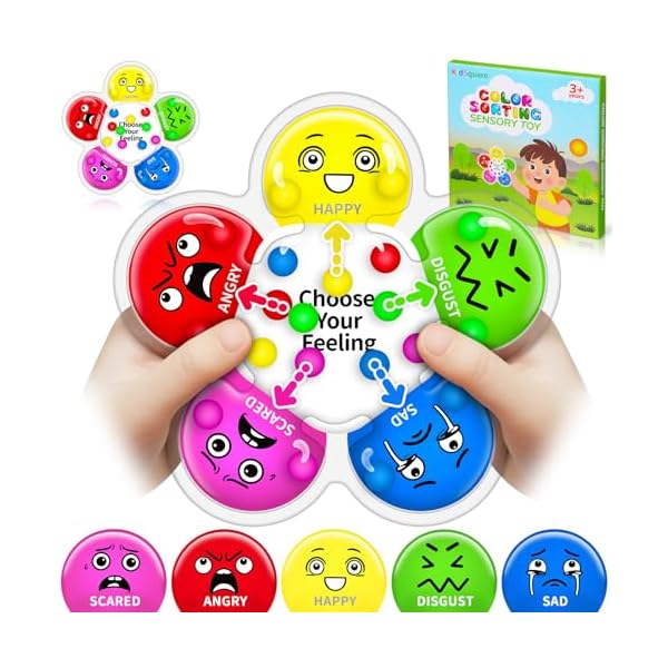 Color Sorting Sensory Toys for Kids with Autism, Autistic 5-7, Gifts for Kids, Feelings Wheel Social Emotional Learning Activities, Fine Motor Skills Calming Fidget Toys