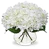 Hollyone Hydrangea Artificial Flowers with Vase White Silk Fake Flowers Arrangements in Glass Vase with Faux Water for Home Bathroom Office Table Centerpiece Shelf Decorations