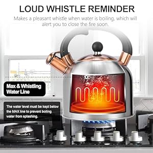 Susteasteakettle317qtwhistlingkettlewithergonomichandlepremiumstainlesssteelteapotsforstovetopchicvintageteapotwithcompositebaseworkforallstovetopssilver Urban Country Home Decor Susteas tea kettle 317qt whistling kettle with ergonomic handle premium stainless steel tea pots for stove top chic vintage teapot with composite base work for all stovetops silver urban country home decor