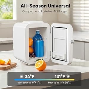   DUMOS-4L-Mini-Fridge-6-Can-Thermoelectric-Cooler-Warmer-Compact-110V-AC12V-DC-Refrigerator-for-Skincare-Drinks-and-Food--Retro-Style-for-Car-Office-Dorm-Bedroom-White