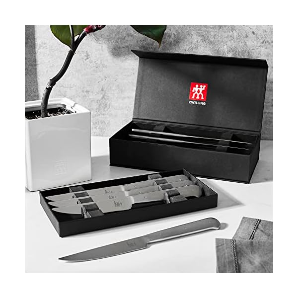 Zwilling porterhouse razor sharp steak knife set of 8 with black presentation case gift set silver  urban country home decor