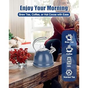   Harriet-Tea-Kettle-for-Stove-Top-25-Quart-Stainless-Steel-Whistling-Tea-Pot-3-Layer-Base-Unique-Dolphin-Shaped-Ergonomic-Handle-Includes-Pot-Holder-Mat-Gas-Electric-Applicable-Blue
