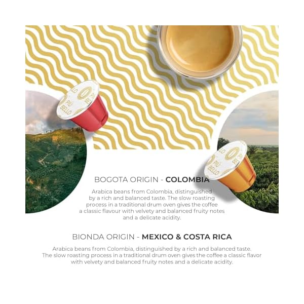   Piu-Bello-Coffee-Capsules-Variety-Pack-for-Nespresso-Original-Machine-Light-Roast-Dark-Roast-Kosher-6-Flavor-Multipack-120-Count