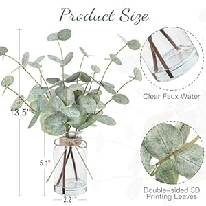Artificialeucalyptusstemsinglassvasewithfauxwater135fakeplantsforhomedecorcoffeetablecenterpiecesofficebathroomfarmhouseweddingsfauxgreeneryplantsdecorations Urban Country Home Decor Artificial eucalyptus stems in glass vase with faux water 135 fake plants for home decor coffee table centerpieces office bathroom farmhouse weddings faux greenery plants decorations urban country home decor