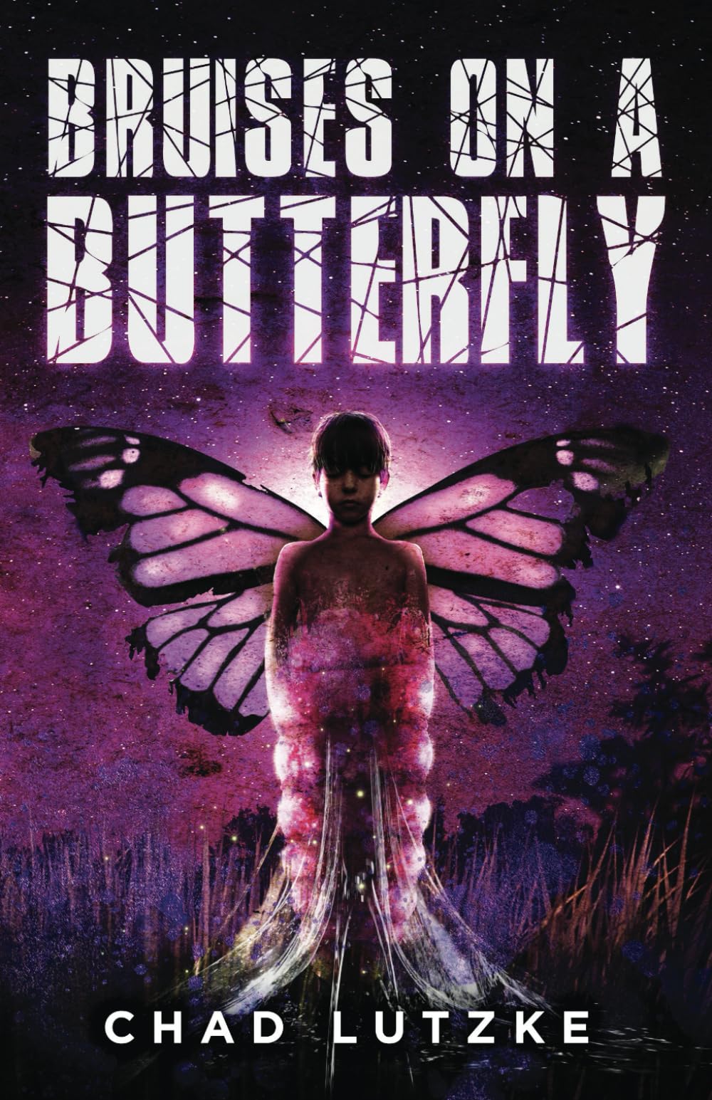 Cover of Bruises on a Butterfly