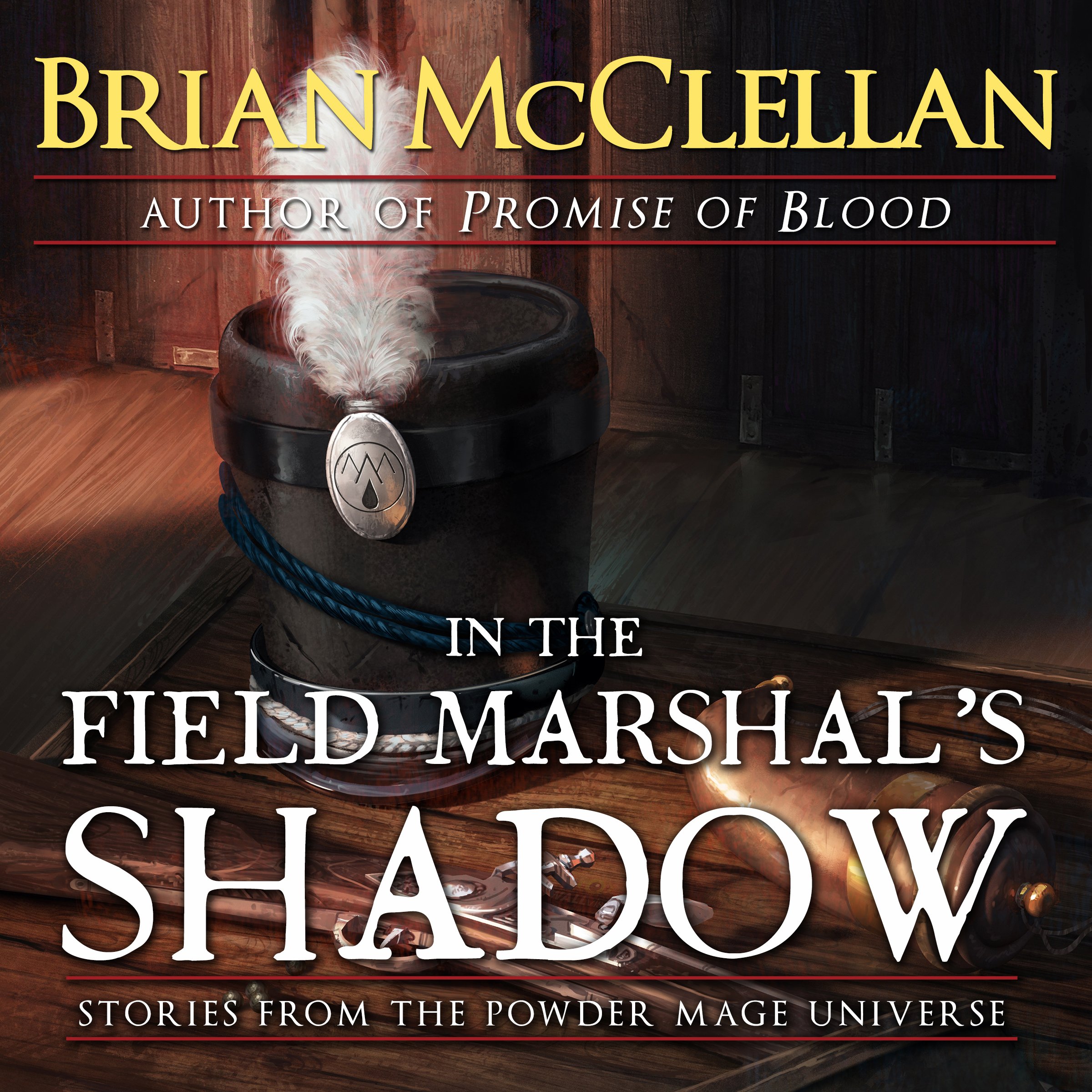 Book cover for In the Field Marshal's Shadow