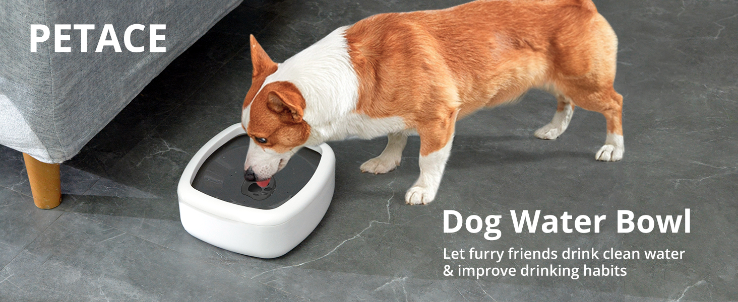 Petace Dog Water Bowl, Non Spill Pet Water Bowl dog bowl