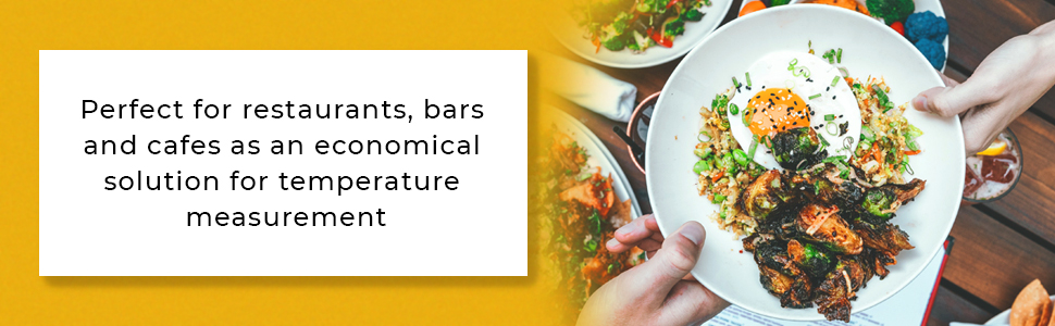 Food Industry Temperature Measuring Instrument Cooking Kitchen Thermometer Bar Kitchen Restaurant