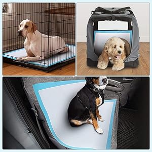 TBM Puppy Pads Large Size Pack of 50 60 x 60 Best for kennel/Crate to make cleanup easy for you.