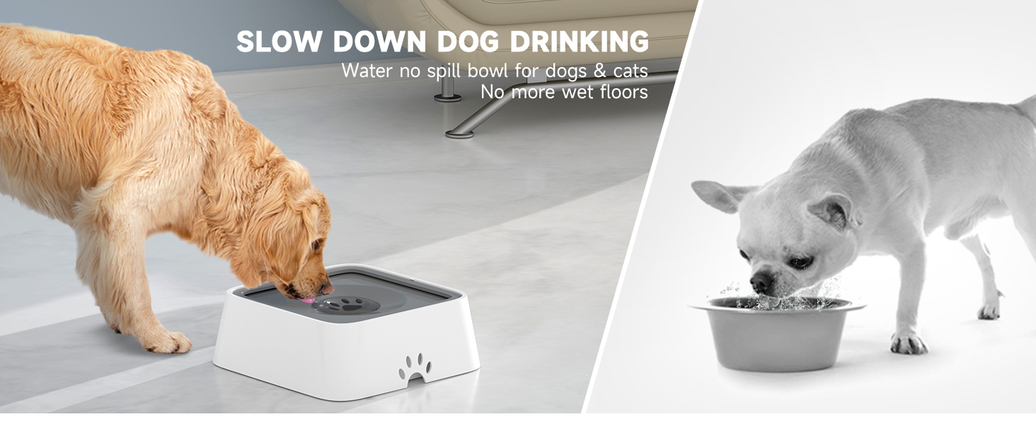 ELS PET Dog Water Bowl with Filter Dog Water Bowl