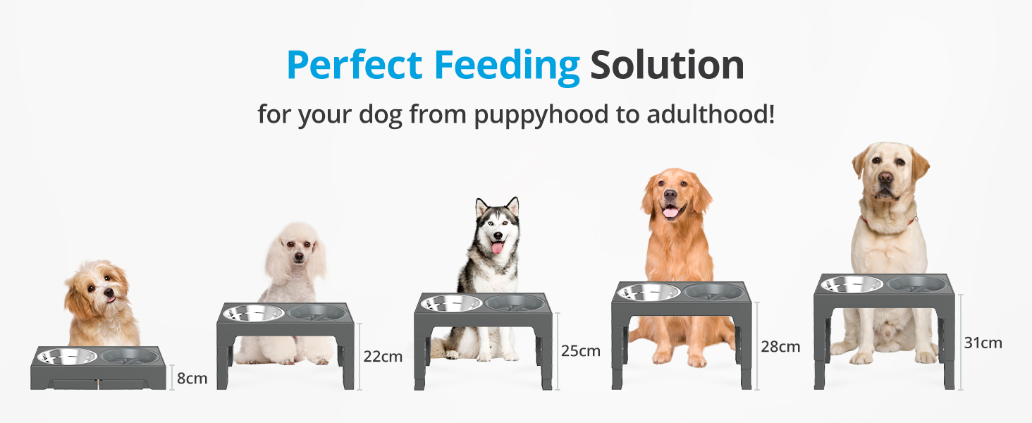 Perfect Feeding Solution