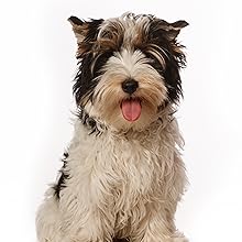 Premium Pigs Ears For Dogs - 8 Large Pieces for Highest Welfare Grade Pig ears for dogs