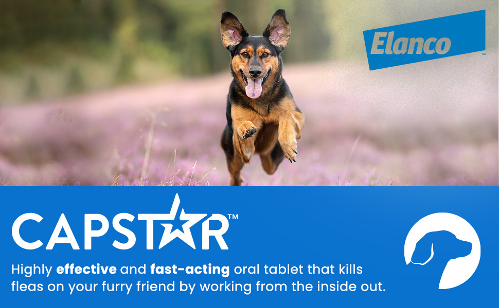 Capstar highly effective and fast acting oral tablet