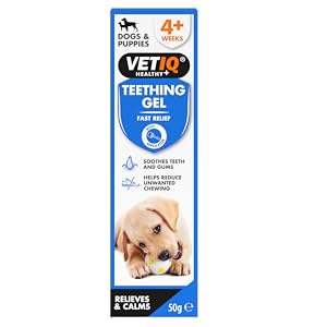 VETIQ Fast Pain Relief Teething Gel With Applicator, Helps Reduce Unwanted Chewing For Dogs & Puppies 4+ Week, 50 g Teething gel