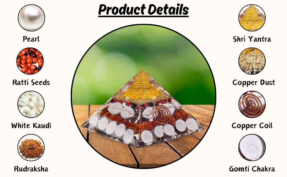 Original Gomati Chakra White Kauri And Ratti Seeds For Vastu Money Wealth pyramid