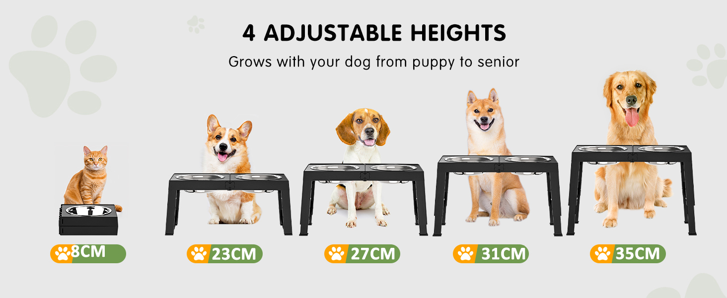 elevated dog bowls
