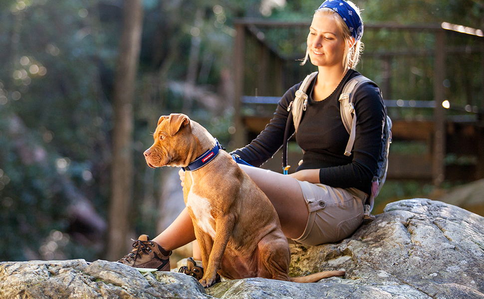 neo-dog-collar-module-3