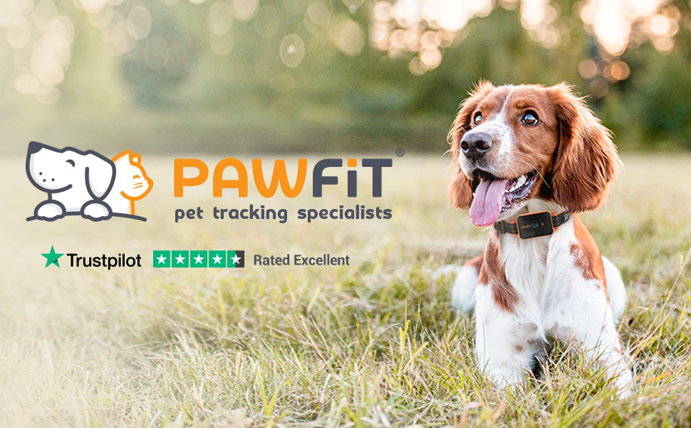 Pawfit