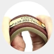 SEOUGEE Genuine Leather Dog Collar Personalised hoodie military padded printed pup purple shirt staffordshire