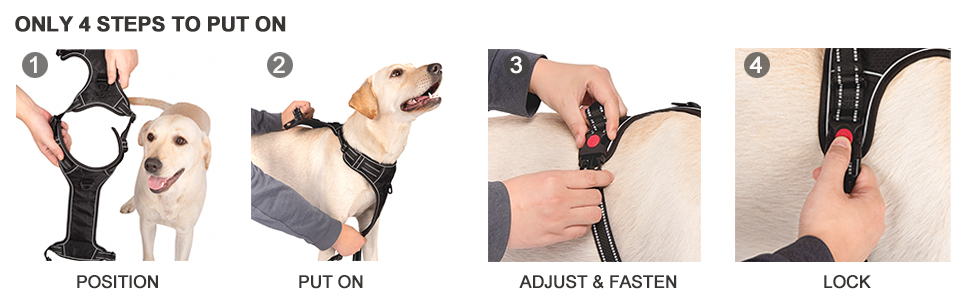 haapaw No Pull Dog Harness A+ BLK 3