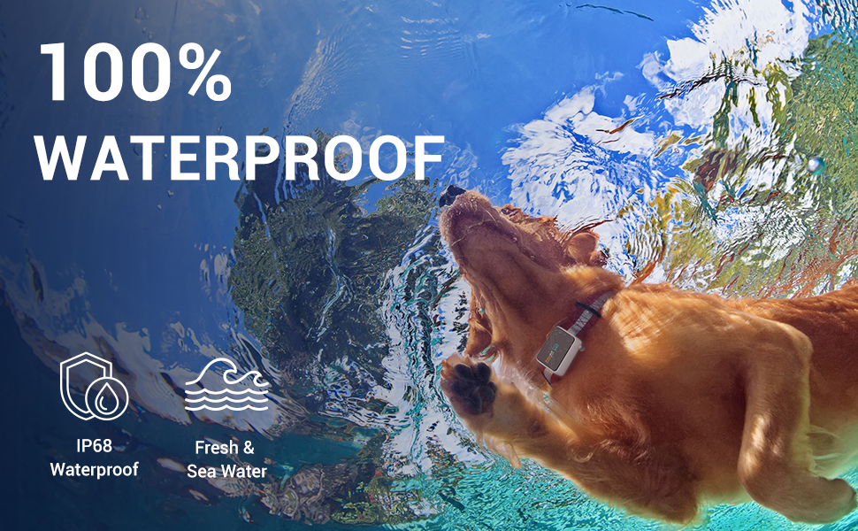 Pawfit, Dog tracker, waterproof, monitor