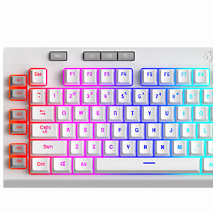 K512 WT